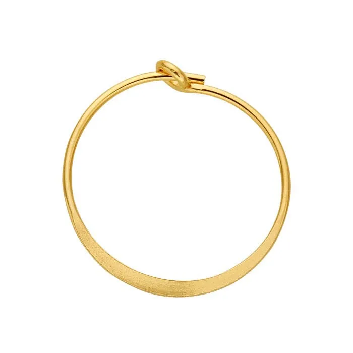 Golden Hoop Earrings