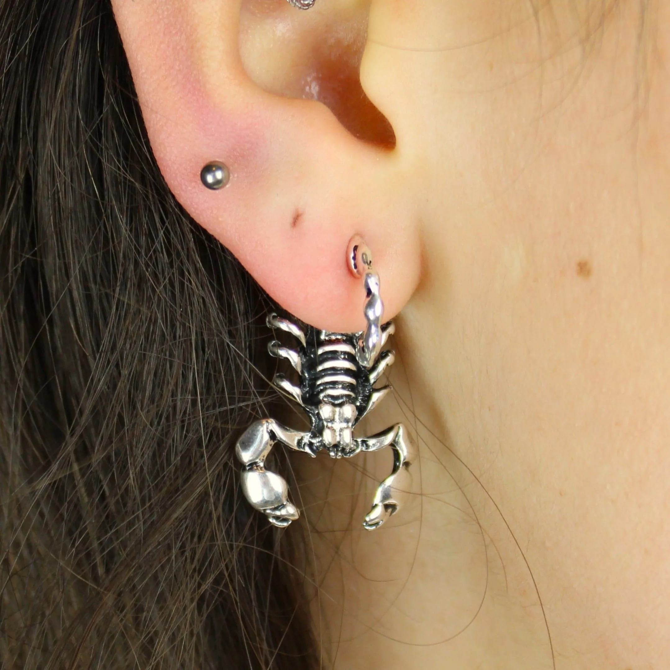 Scorpion 2 Piece Stud Earrings